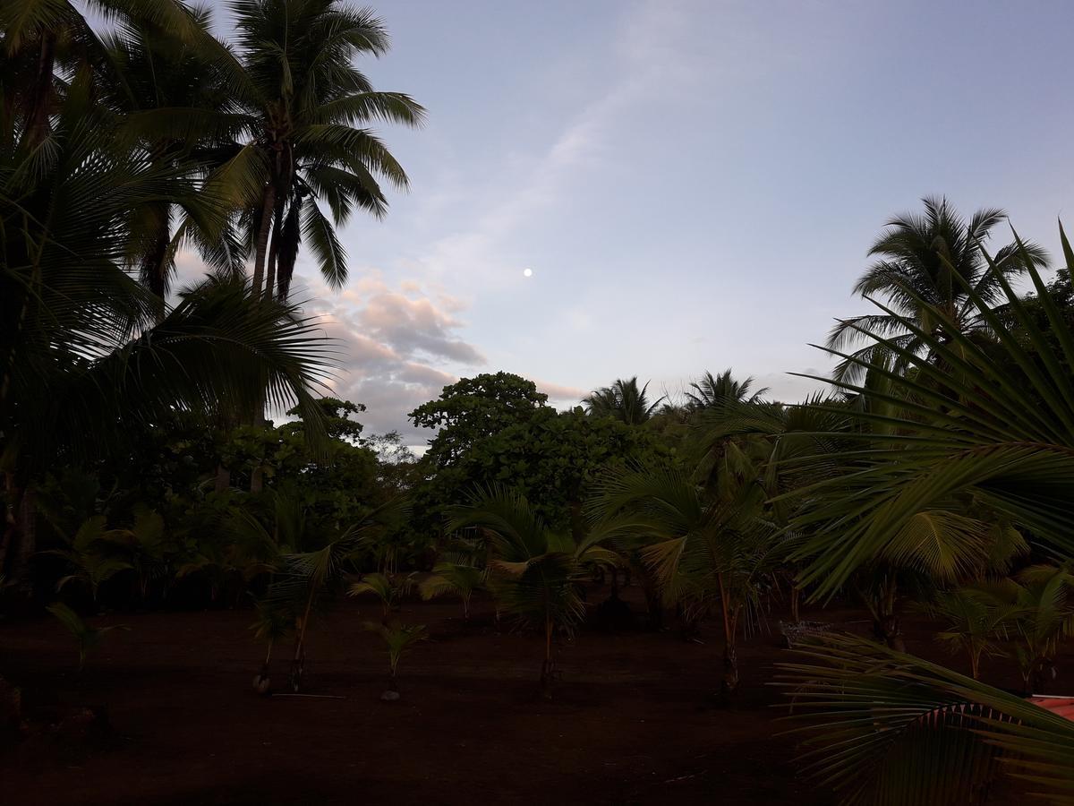 Hostal Pachamama Isla de Canas Exteriér fotografie