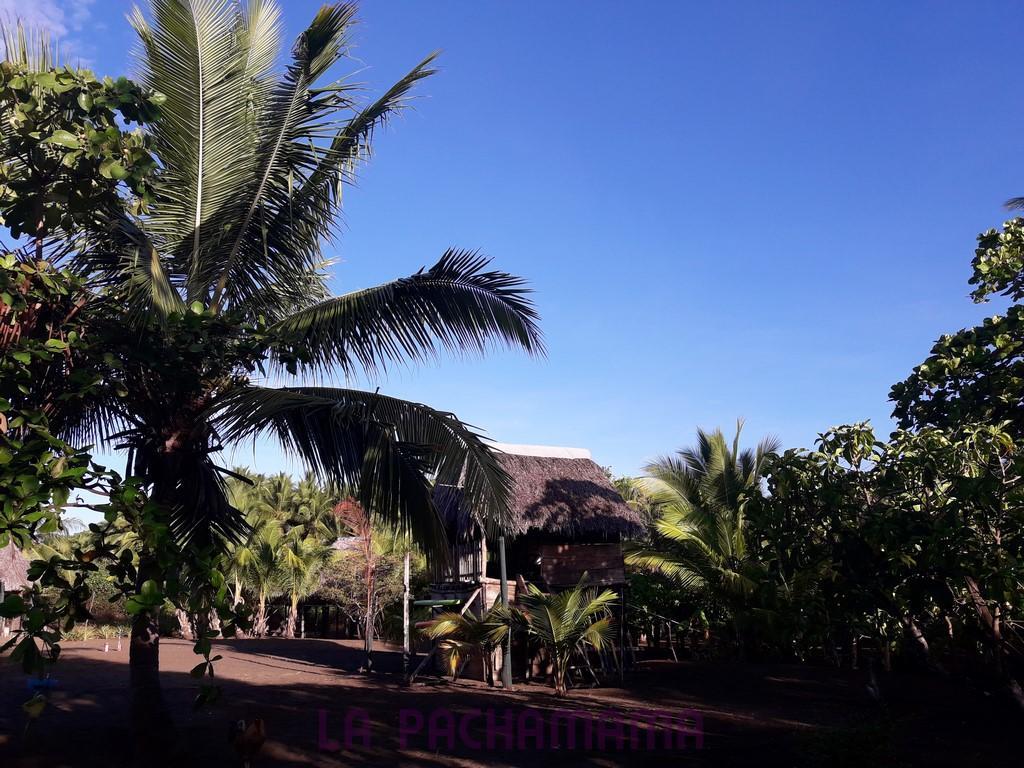 Hostal Pachamama Isla de Canas Exteriér fotografie
