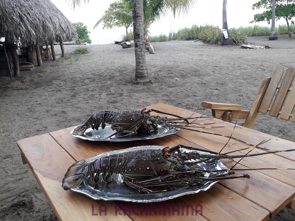 Hostal Pachamama Isla de Canas Exteriér fotografie
