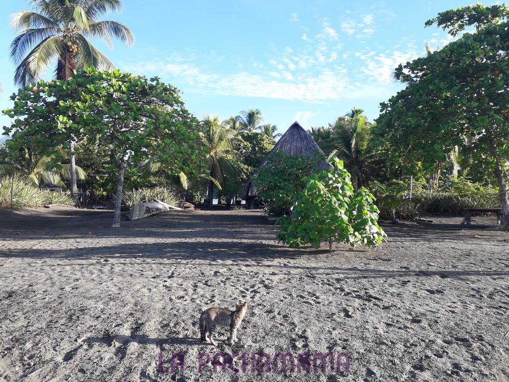 Hostal Pachamama Isla de Canas Exteriér fotografie