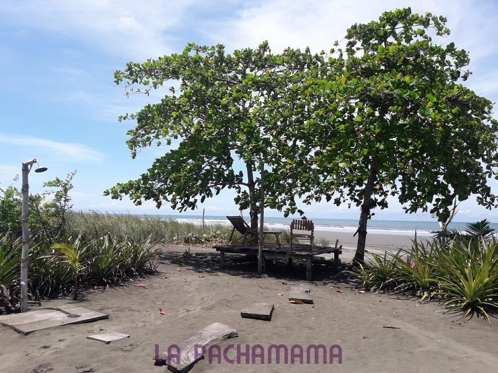 Hostal Pachamama Isla de Canas Exteriér fotografie