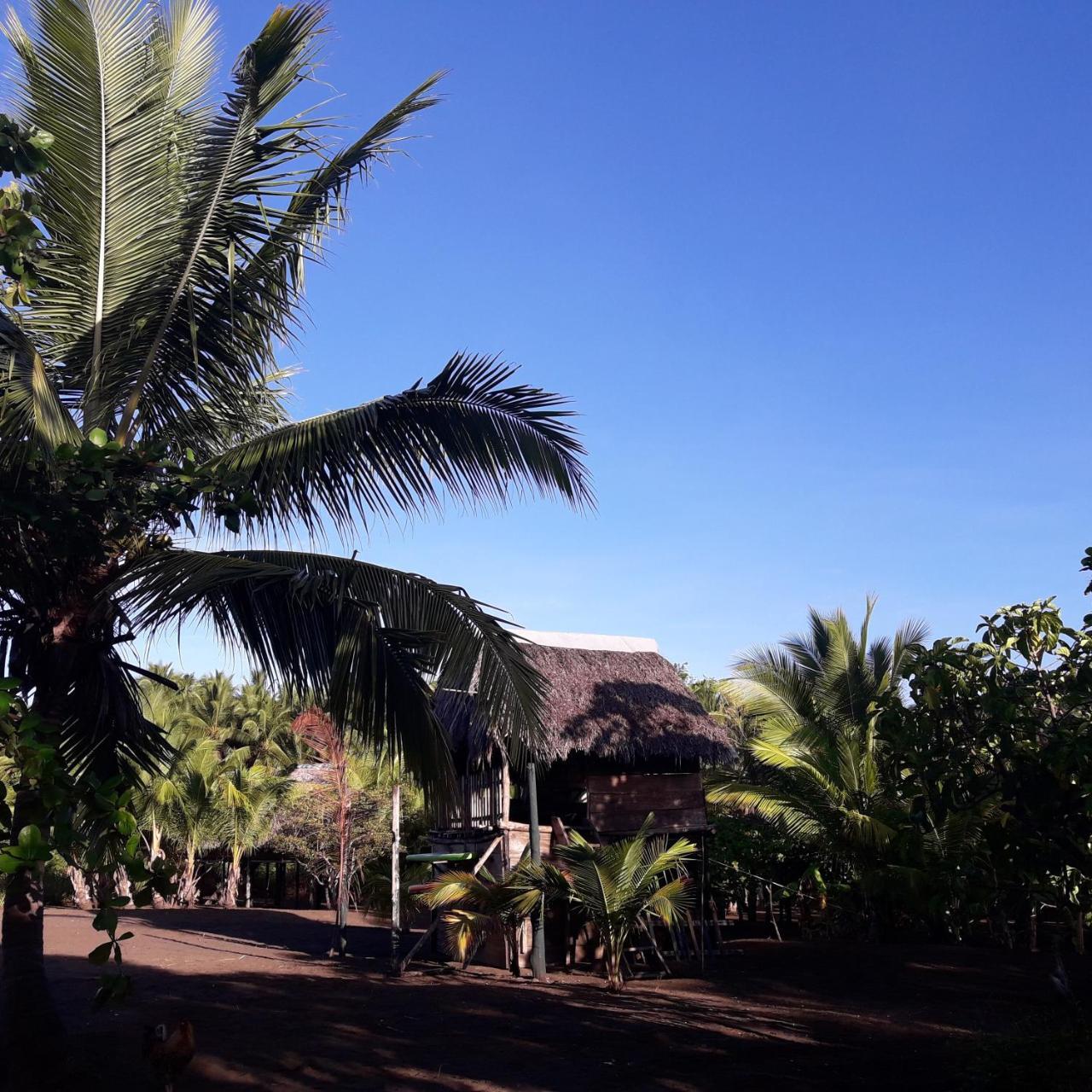 Hostal Pachamama Isla de Canas Exteriér fotografie